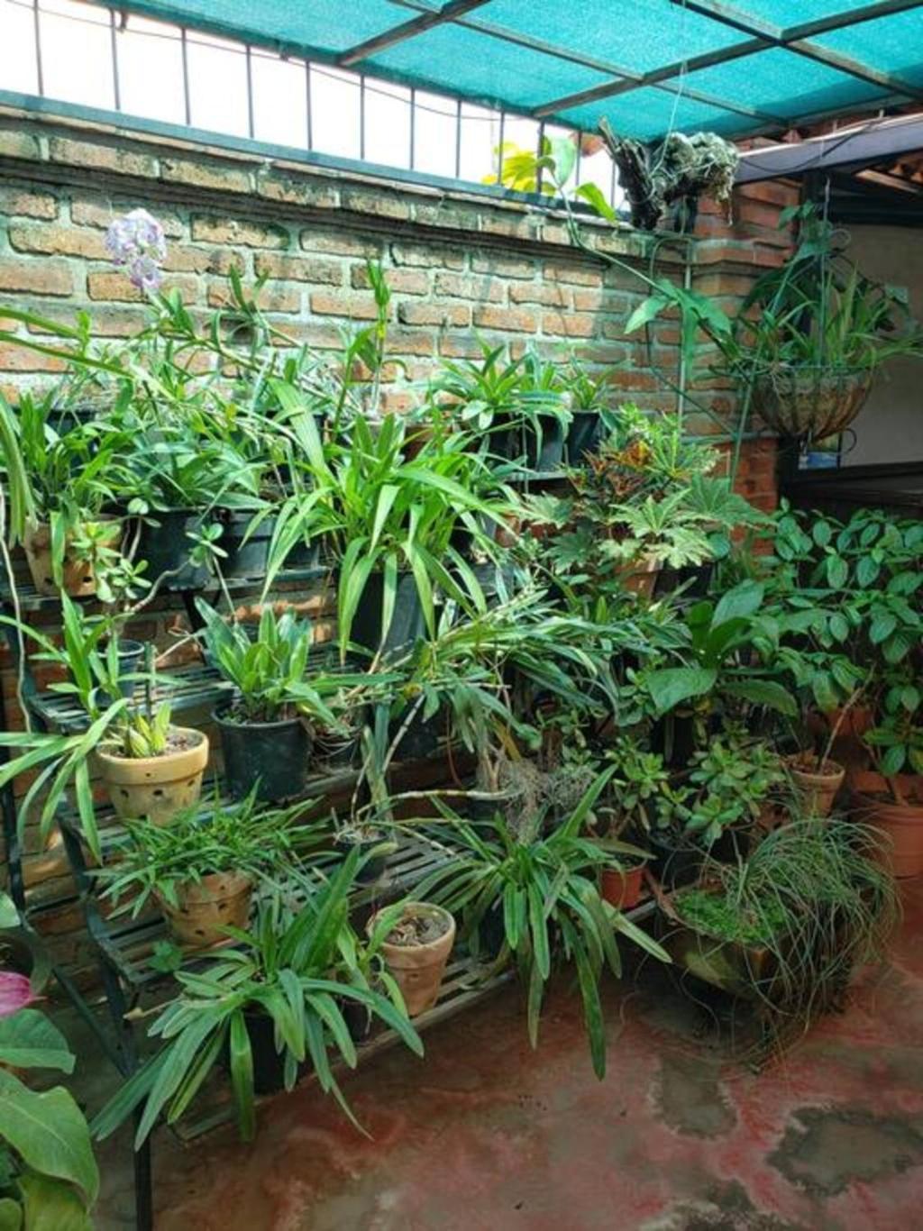Enjoy Ac In The Queen'S Suite At Inn อาจิจิก ภายนอก รูปภาพ